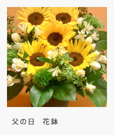 父の日 花鉢